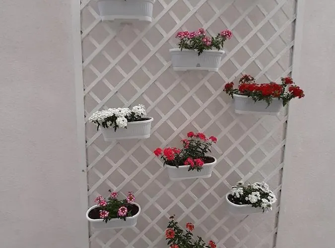 Ada בית הארחה בוקרשט