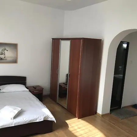 Guest house Ada *