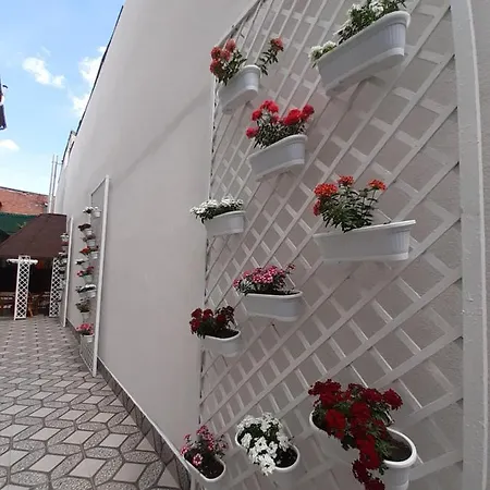 Ada 3* Bucarest