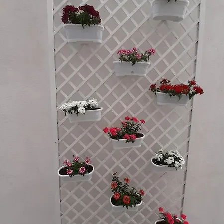Ada Pensjonat Bukareszt