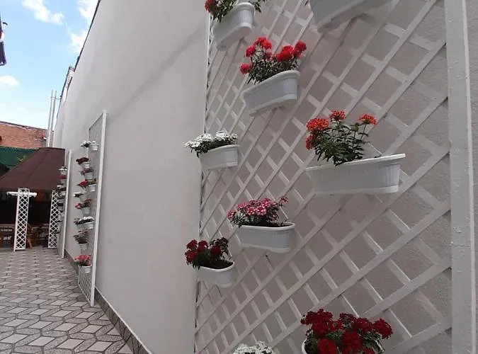 Ada 3* بوخارست